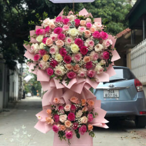 Hoa Khai Trương - KT50