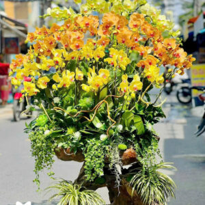 Lan Hồ Điệp